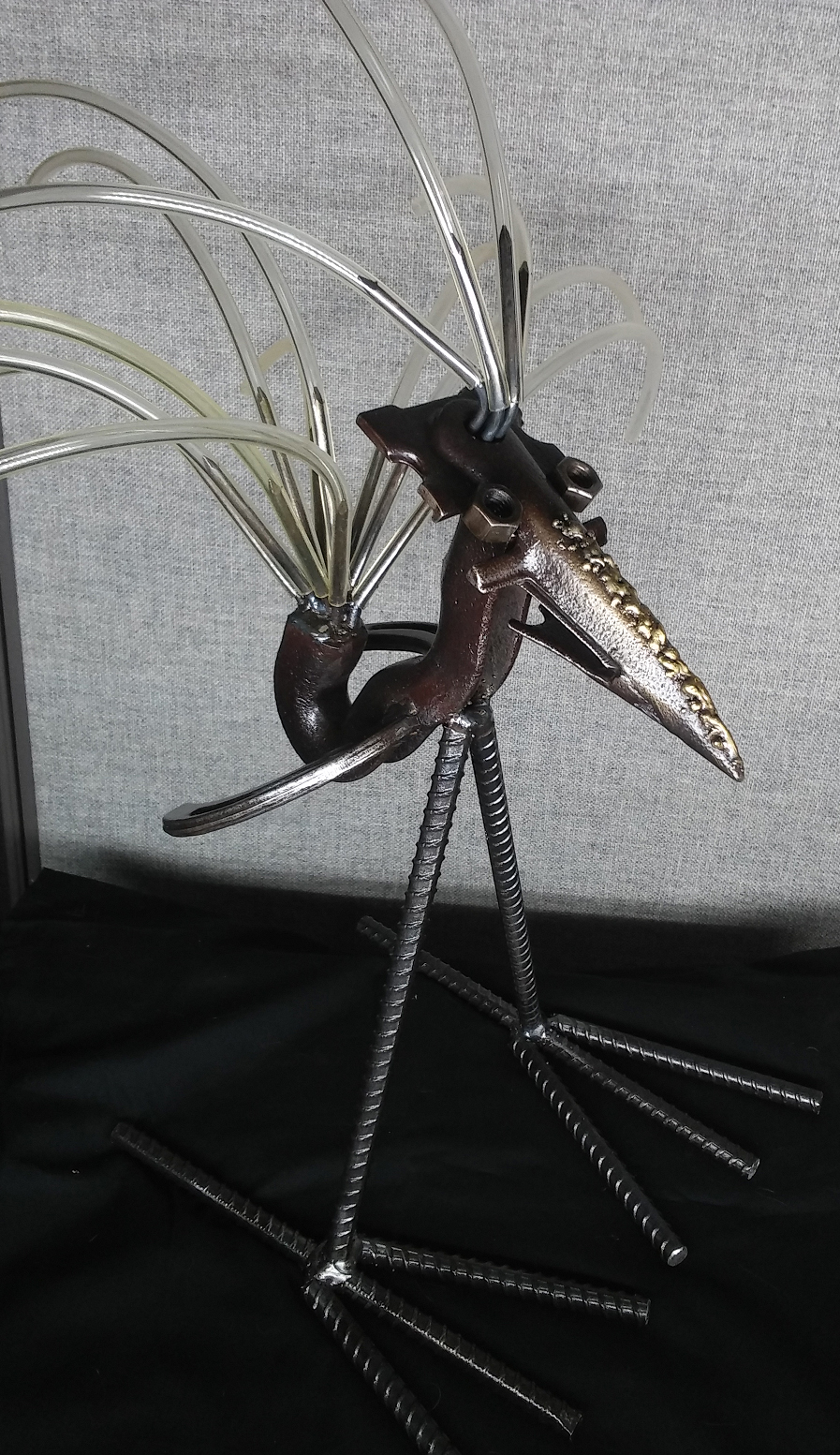 Bird-right.jpg
